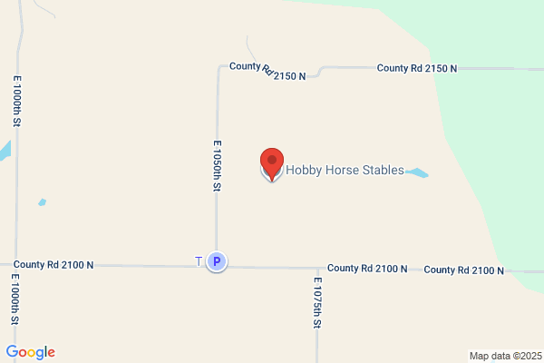 Hobby Horse Stables