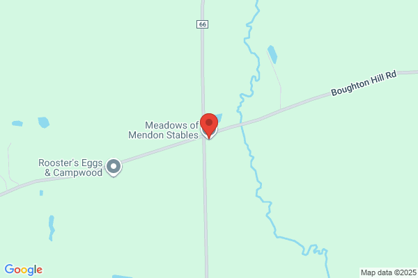 Meadows of Mendon Stables, LLC