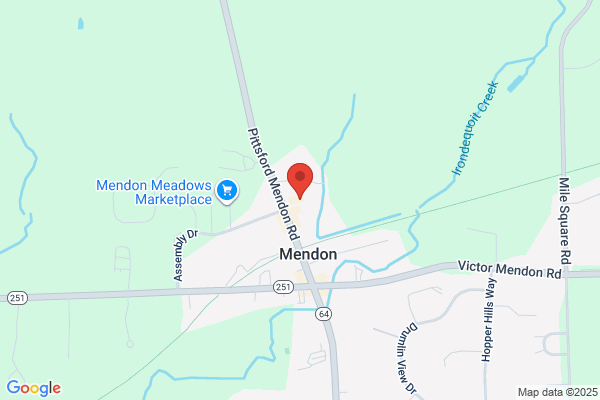 Mendon Flowers & Fountains