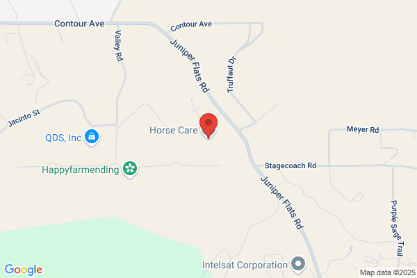 Horse Care
