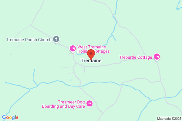 Tremaine Chere