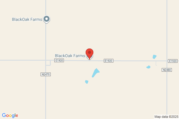Black Oak Inc