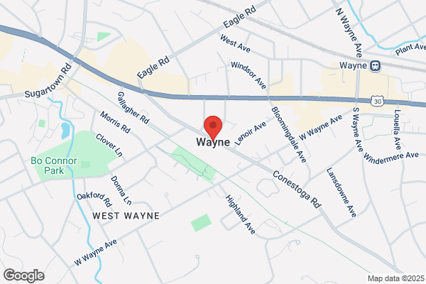 Wayne