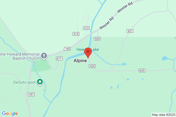 Alpine Camp
