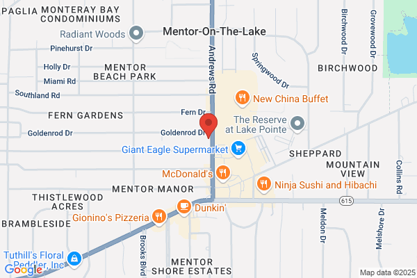 WellNow Allergy Mentor-on-the-Lake - closed