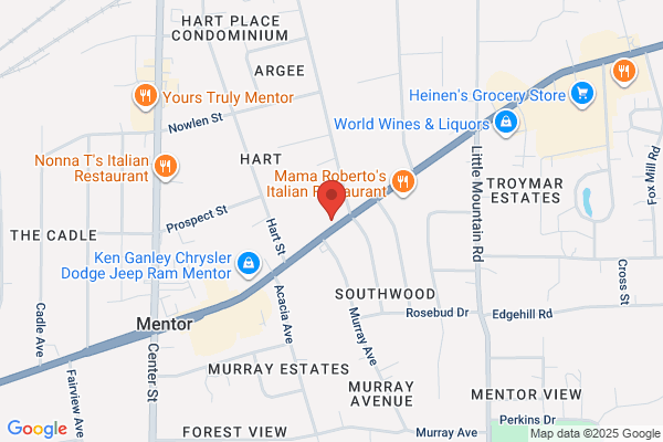 Mentor Auto Rental Inc