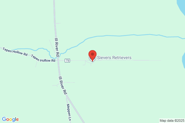 Sievers Retrievers