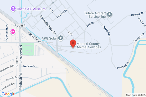 Spca Adoption Center