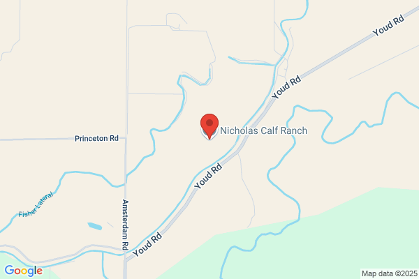 Nicholas Calf Ranch Inc