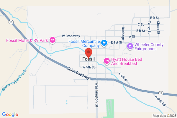 Fossil Co, Store