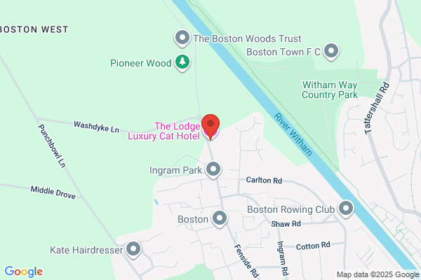 Tlc Pet Lodge Luxury Cat Care