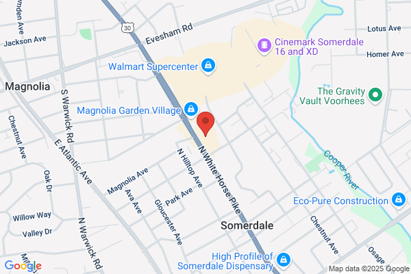 Nezzies