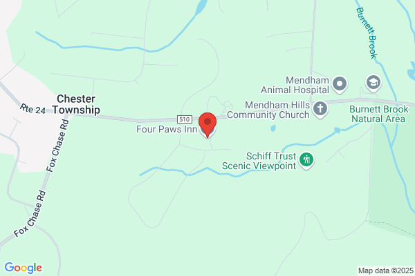 Four Paws Inn Llc