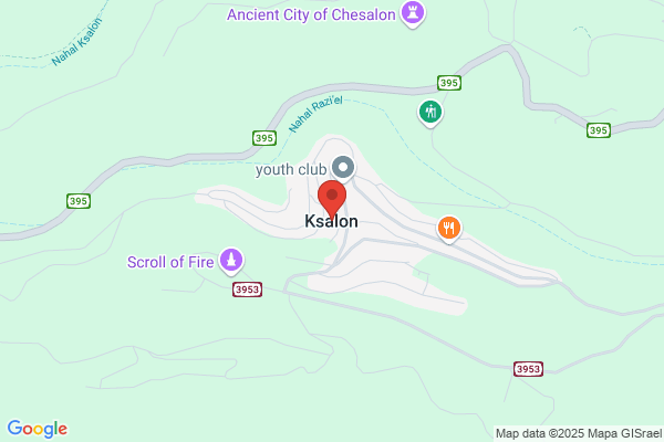 K-9 Salon
