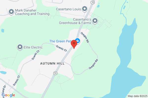 Central Electric & Generator Inc