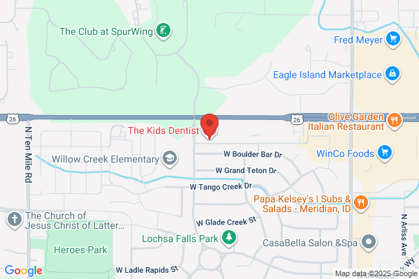 The Kids Dentist & Orthodontics