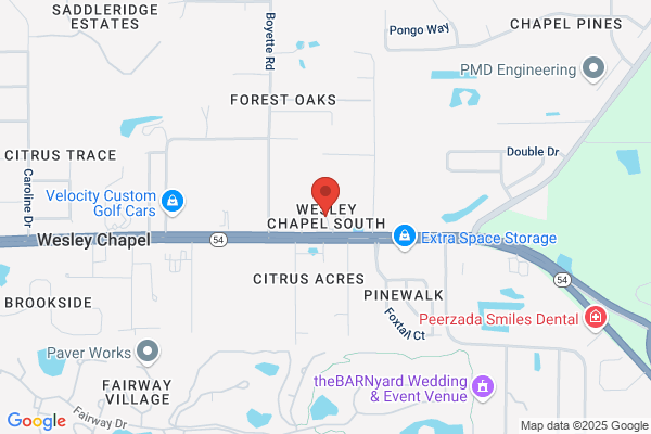 Wesley Chapel South