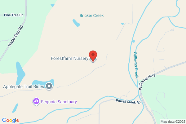Pm Farms Tree Nursery