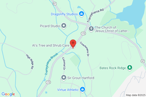 A-1 Tree & Shrub Service