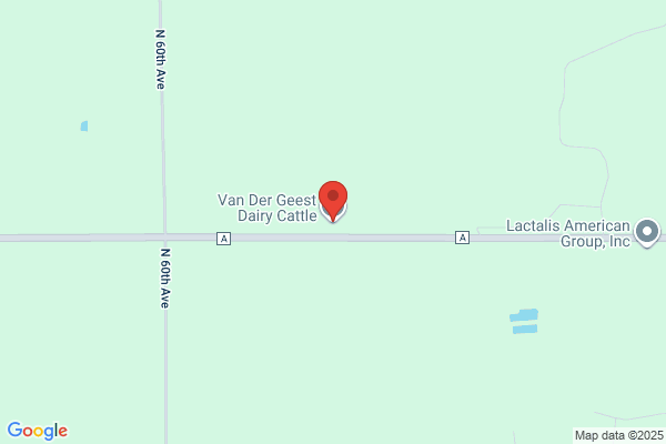 Van Der Geest Dairy Cattle