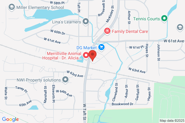 Lottaville Services