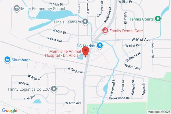 Merrillville Animal Hospital D R - Douglas R Marler DVM