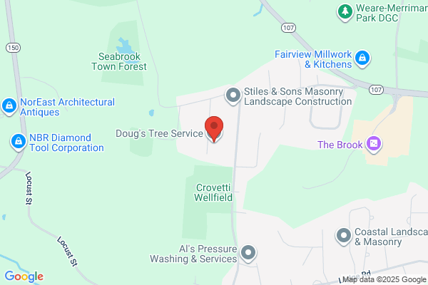 D & D Tree Service Inc