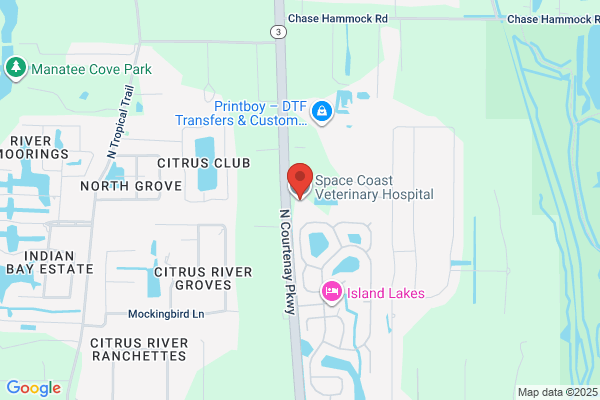 Space Coast Veterinary