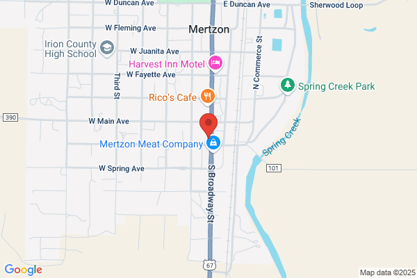 Mertzon Pump and Supply