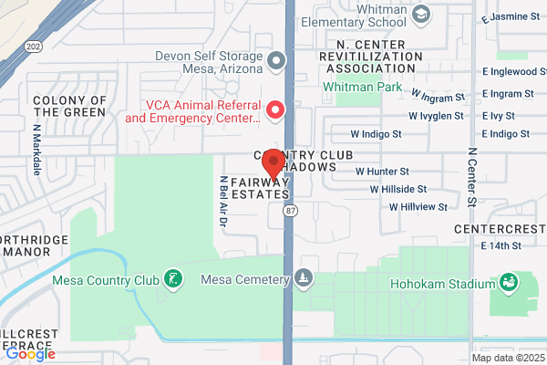 Az Institute of Reflexology