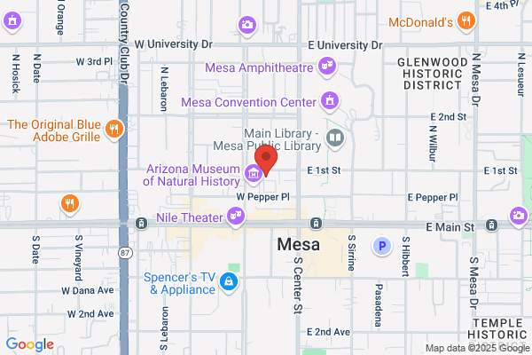 Metropolitan Youth Symphony