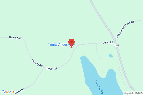 Trinity Angus