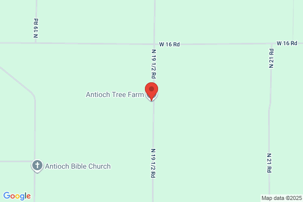 Antioch Tree Farm