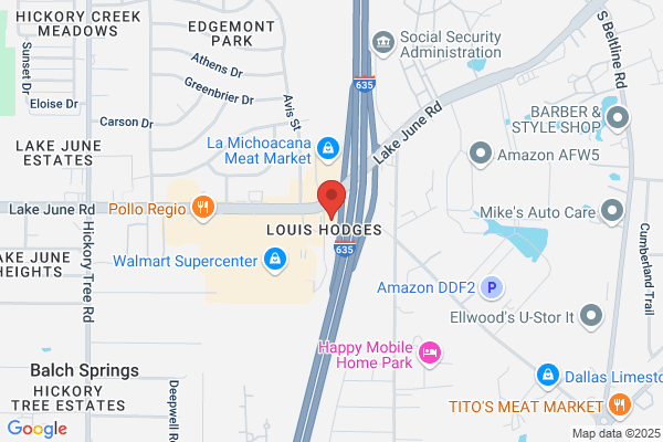 TitleMax Title Loans