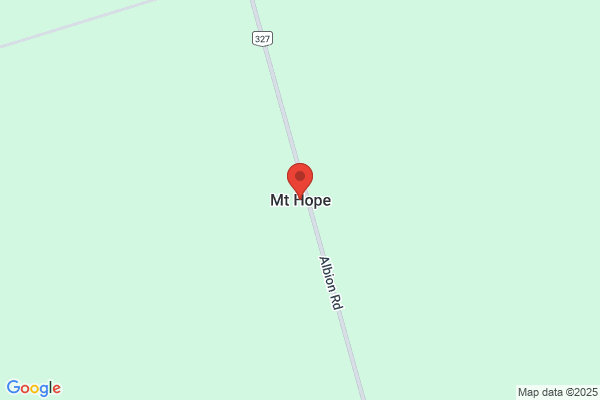 Mount Hope Security Inc