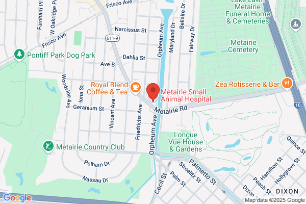 Metairie Small Animal Hospital Inc, Clinics