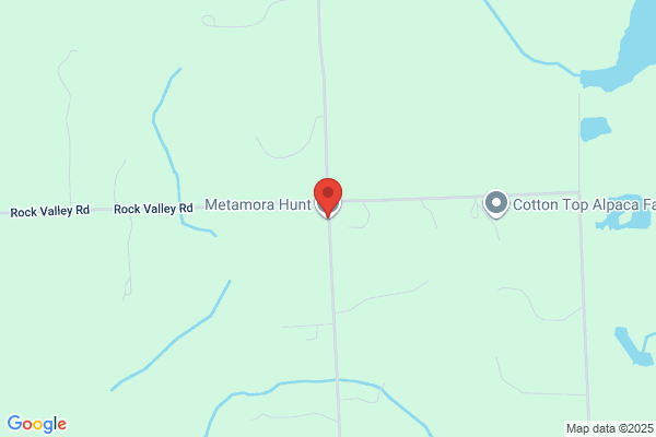 Metamora Hunt Inc