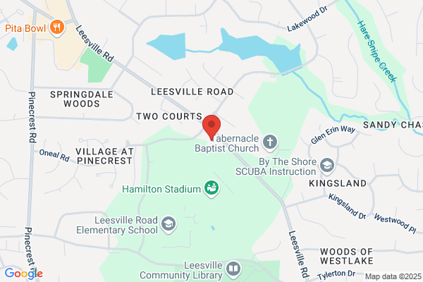 Alternative Tree Services