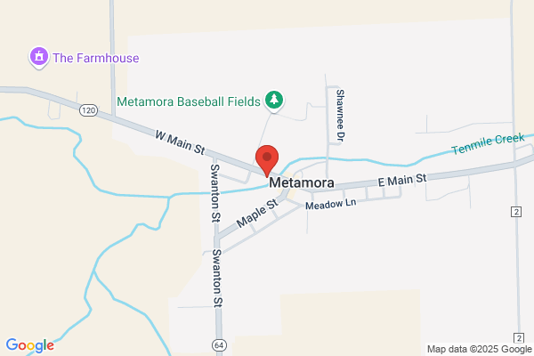 Metamora Pizza Pro