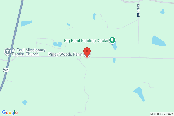 Piney Woods Properties