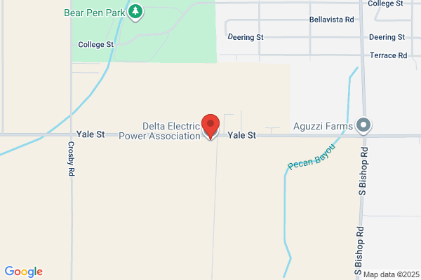 Delta Electric Power Association