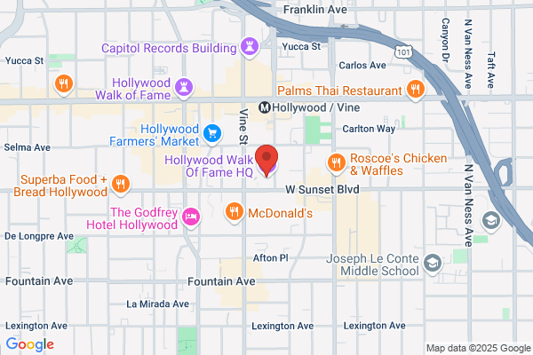 Hollywood Stars Video