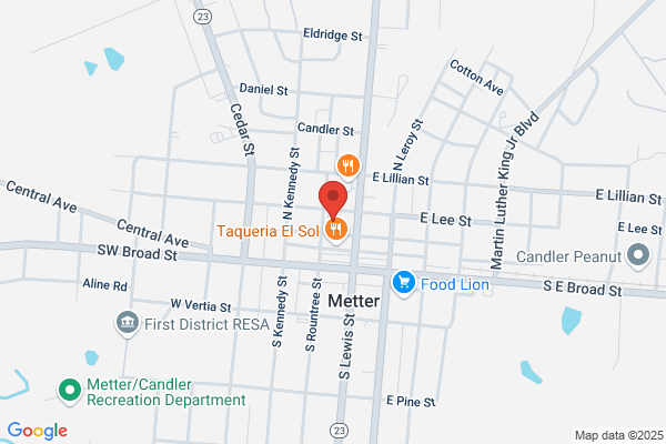 Metter Chiropractic Center Inc