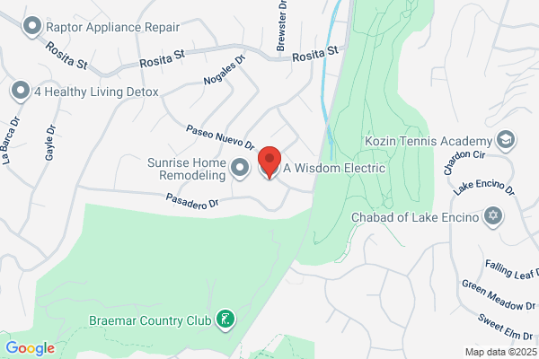 Wisdom Electric