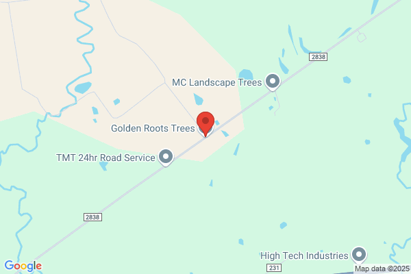 Golden Roots Trees Llc