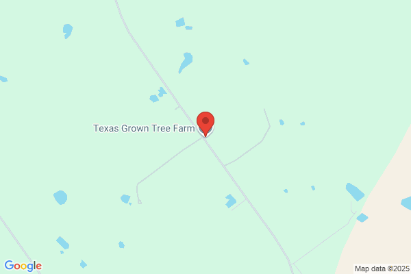 Yepez Tree Farm