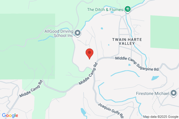 Twain Harte Tree Service