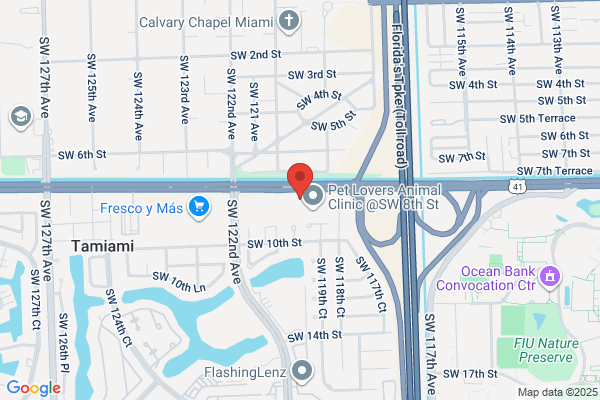 Dental Design Smile Miami