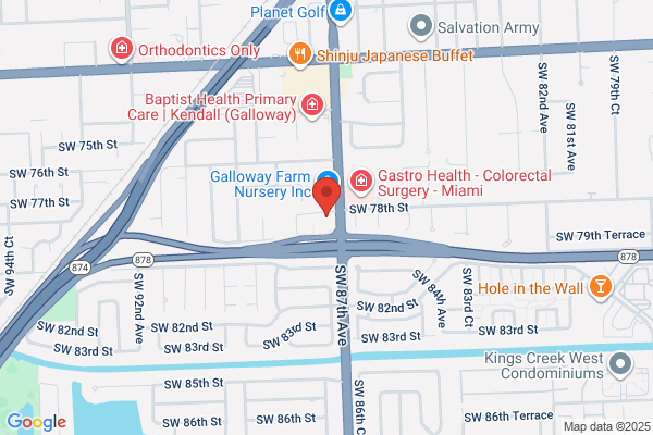 Prestige Orthopedics LLC