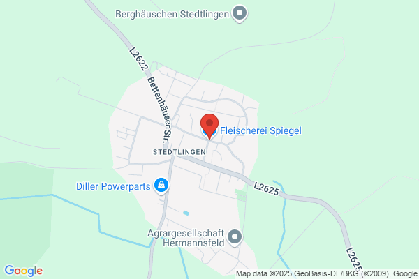 Spiegel Meats Inc